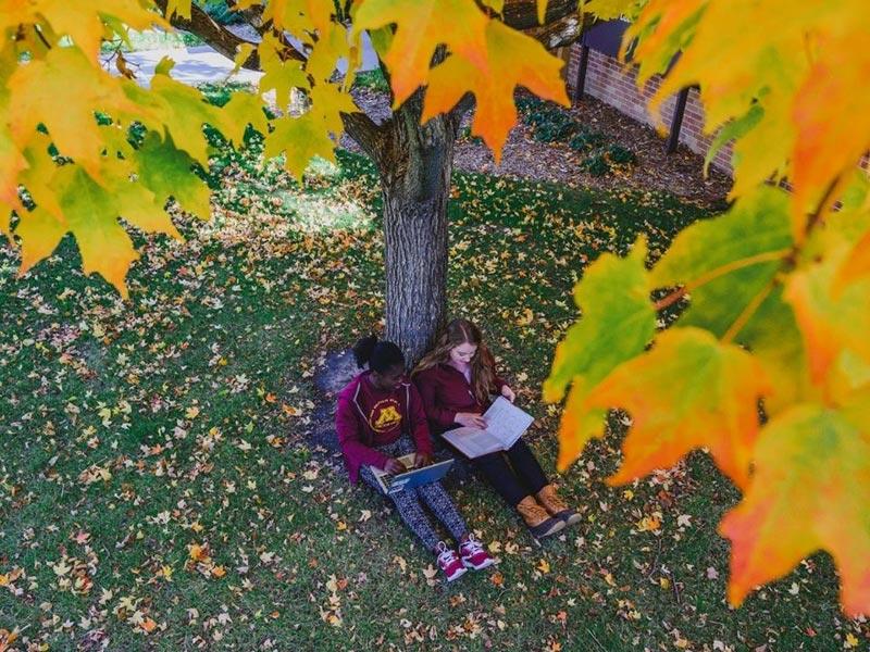 Two students sitting outside next to a tree in the fall