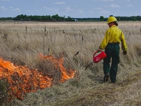 Student learning how to do a controlled burn